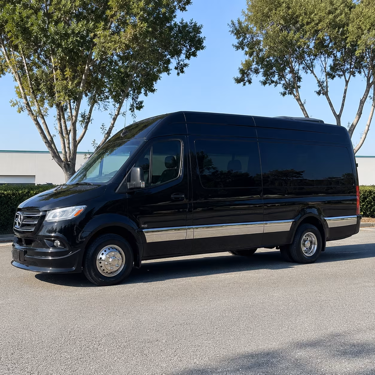 14 Passenger Sprinter Limo Exterior